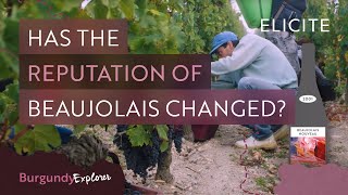 What is Beaujolais Wine Breaking Down The Region [upl. by Nylad]