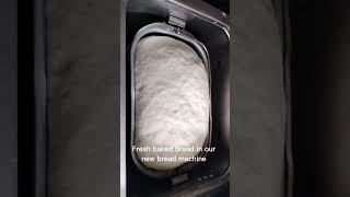 florida floridaliving glamping breads breadmachine cooking [upl. by Froma]