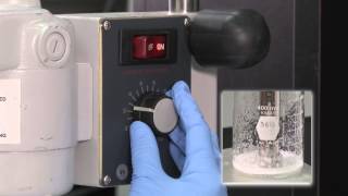 Foaming Capacity and Stability Lab Demo [upl. by Ettenaj462]