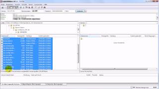 FileZilla FTP Tutorial deutsch am Beispiel des WordPress Uploads [upl. by Leahcar]