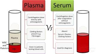 Plasma Vs serum Vs antiserum [upl. by Anaes323]