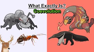 What Exactly is Coevolution and the Case of Durant vs Heatmor [upl. by Emelen826]