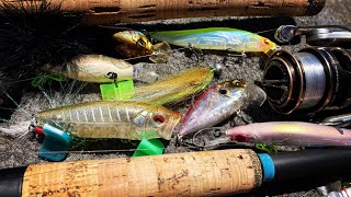 Top 5 BEST Megabass Lures EVER MADE [upl. by Mart]