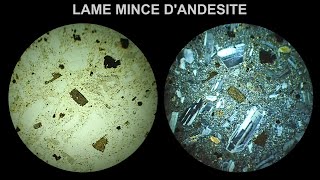 Lame mince dandésite observée au microscope polarisant en LPnA vs LPA x 40 [upl. by Ellevehs385]