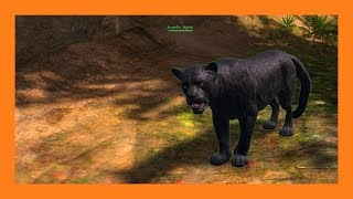 Zombie Quaggan  Jaguar Pet Locations [upl. by Syman]