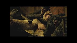 Caesar Kills Winter  Death Scene  War for the Planet of the Apes 2017LOWI [upl. by Stanzel992]