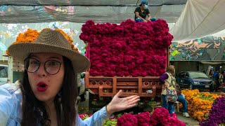 Este mercado de México parece sacado de un CUENTO 🌺 🌷¡Qué bellezaaaa 😍 [upl. by Yasmine]