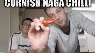 EXTREME PEPPER REVIEW The Cornish Naga  1178988 SHU [upl. by Naujad]