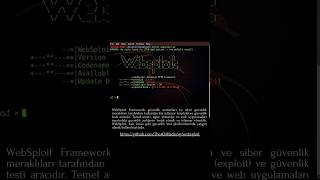 Kali linux 😈kalilinux hacker tools python [upl. by Eileek]