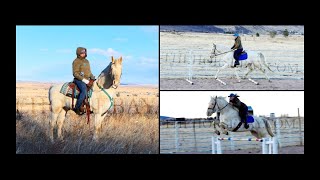 Blue Eyed Cremello Andalusian Gelding For Sale  DrivingJumpingDressage [upl. by Tessler509]