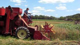 Massey Harris 35 combine in oats [upl. by Ariec]