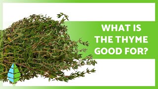 THYME BENEFITS 🌿  Properties What Is It for and Contraindications ✅ [upl. by Aenel917]