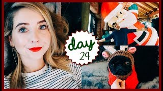 THE BIG DAY IS FINALLY HERE  VLOGMAS  MoreZoella RUS SUB [upl. by Shiau]