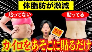 【ダイエット】カイロを貼るだけで基礎代謝12向上し体脂肪が激減！〜役立つ雑学 [upl. by Mignon]