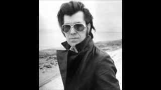 Link Wray  Hotel Loneliness [upl. by Travus627]