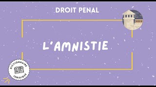 AMNISTIE en droit pénal 🔤 [upl. by Hgielhsa]