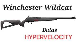 Winchester Wildcat con Balas de Alta Velocidad [upl. by Garson]