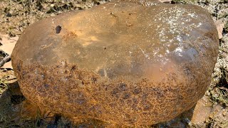 “Broken Bannerstone amp An Alien Blob Arrowhead Hunting North Georgia”👽🏹 [upl. by Ellinger]