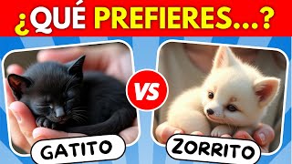 ¿Qué PREFIERES 🐶 Edición ANIMALES 🐸🐼 [upl. by Anej169]