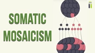 Mosaicisms  Part 2  Somatic Mosaicism [upl. by Harragan484]