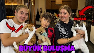 CİROYU KEDİLERİMİZLE BULUŞTURDUK  BÜYÜK BULUŞMA [upl. by Geoff910]