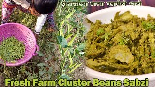 Gavarichi Bhaji  Cluster Beans Vegetable Recipe  शेतातल्या ताज्या गावठी गवारीची भाजी [upl. by Guinevere]