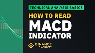 How to Read MACD Indicator ｜Explained For Beginners [upl. by Iasi]