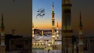 Sarkar ki aamad Marhaba Dildar ki aamad Marhaba Naat Sharifvideo 🌹🌹🌹short [upl. by Charo524]