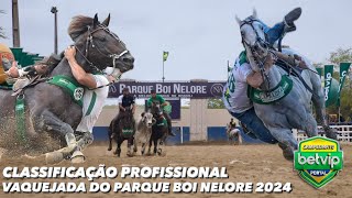 VEJA A CLASSIFICAÇÃO PROFISSIONAL NA VAQUEJADA DO PARQUE BOI NELORE 2024 CAMPEONATO BETVIP PORTAL [upl. by Neeli]