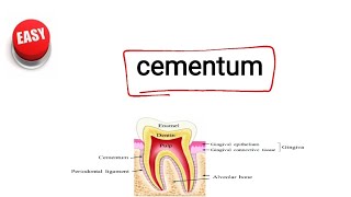 cementum [upl. by Doran425]