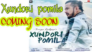 hundori pomila song 2020vreegu Kashyap new song 2020Hundori pomila [upl. by Valsimot568]