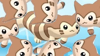 furret walk around the world [upl. by Gibson632]