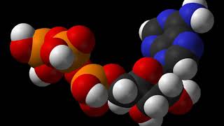 Chemolithotrophy  Wikipedia audio article [upl. by Ttelracs322]