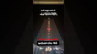 అరుణాచలం గిరి ప్రదక్షిణ చేసేటప్పుడు సిద్ద యోగులు దర్శనం జరుగుతుంది [upl. by Willet14]