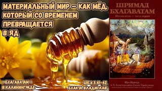 Материальный мир как мед который со временем превращается в яд Бхакта Владислав ШБ6541–42 [upl. by Morice]