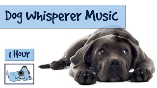 1 Hour of Dog Music The Dog Whisperer Music [upl. by Lleda]