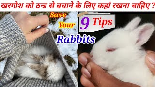 खरगोश को ठंड से बचाने के लिए कहां रखें How To Protect Rabbit From Cold खरगोश को ठंड से कैसे बचाएं [upl. by Ydnew580]