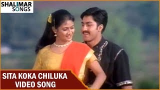 Sita Koka Chiluka Video Song  Avunu Vallidaru Istapaddaru Movie  Ravi Teja Kalyani [upl. by Lien387]