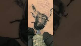 Timelapse • cómo tatuaje en Realismo Sombra tattoo aprendeatatuar [upl. by Feenah]