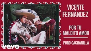 Vicente Fernández  Puro Cachanilla Cover Audio [upl. by Cilo699]