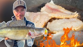 Catch amp Cook Zander  THE BEST FISH FOR FOOD  Team Galant [upl. by Alyar]