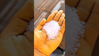 Factory में चीनी कैसे बनाया जाता हैं making sugar farming [upl. by Anahsed]