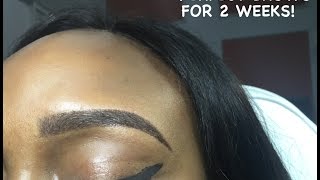 How To Get Eyebrows That Last Two Weeks [upl. by Storz]