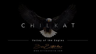 Chilkat  Valley of the Eagles [upl. by Esyla525]