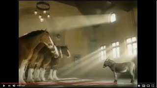 Budweiser Clydesdales Commercial Compilation [upl. by Yanaton]