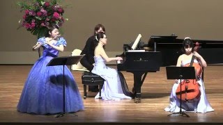 Ravel Piano Concerto 2nd movement PianoFluteCello [upl. by Hannaoj]