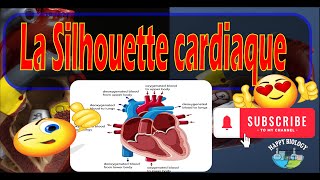 La Silhouette cardiaque [upl. by Aura]