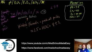 Arterial Blood Gases Made Easy Part 4 [upl. by Aciras476]