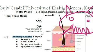 Anatomy 702 Arrector Pili Muscle Sympathetic Nerve PiloMotor Solved Question Paper MCQ [upl. by Doughman]