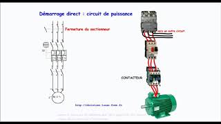 Fonctionnement dun démarrage direct dun moteur asynchrone triphasé [upl. by Ellsworth]